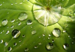 settings for rain photography