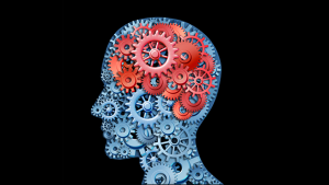Brain