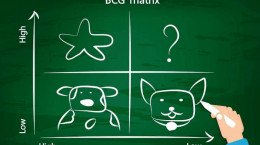 দি বোস্টন কনসাল্টিং গ্রুপ এ্যাপ্রোচ