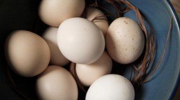 BaladiEggs10Pcs