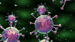 করোনা সমস্যা