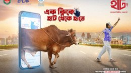digital Qurbani Haat