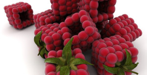 rasp_website